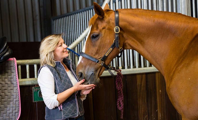 271 investors help local equine centre launch