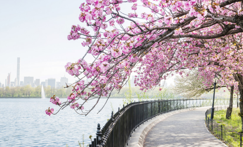 Assetz Capital launches the 1% Spring Bonus
