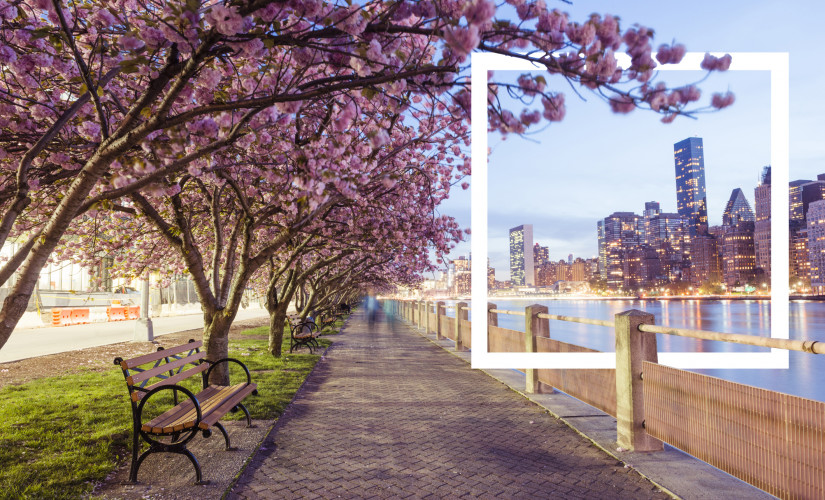 Assetz Capital extends the 1% Spring bonus